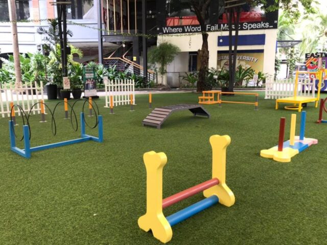 Eastwood City Dog Parks in Quezon City