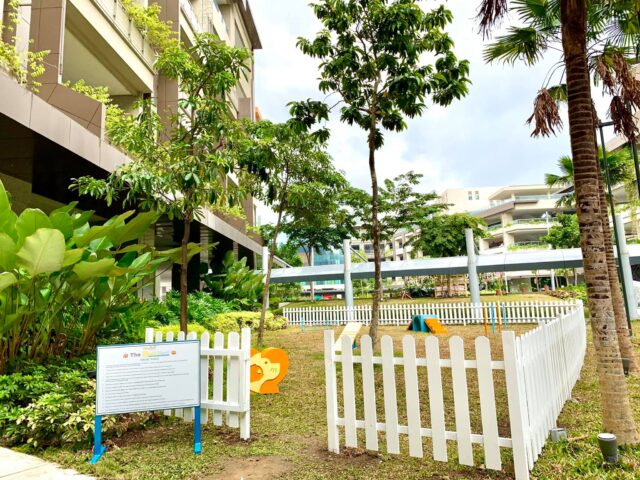 Dog parks in Ayala Malls