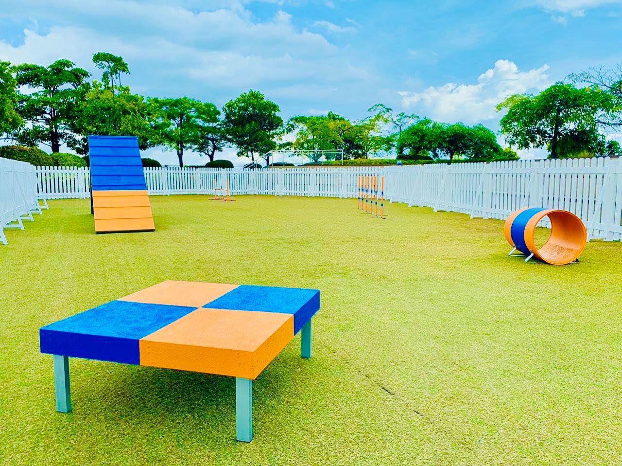4 Best Dog Parks in Cebu City PetPal